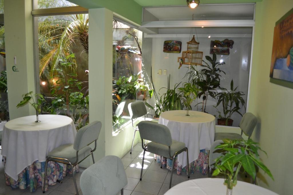 Hotel Amalfi Асунсьйон Екстер'єр фото